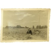 26.06.41. Operatore radio della Wehrmacht in posizione vicino a Daugavpils